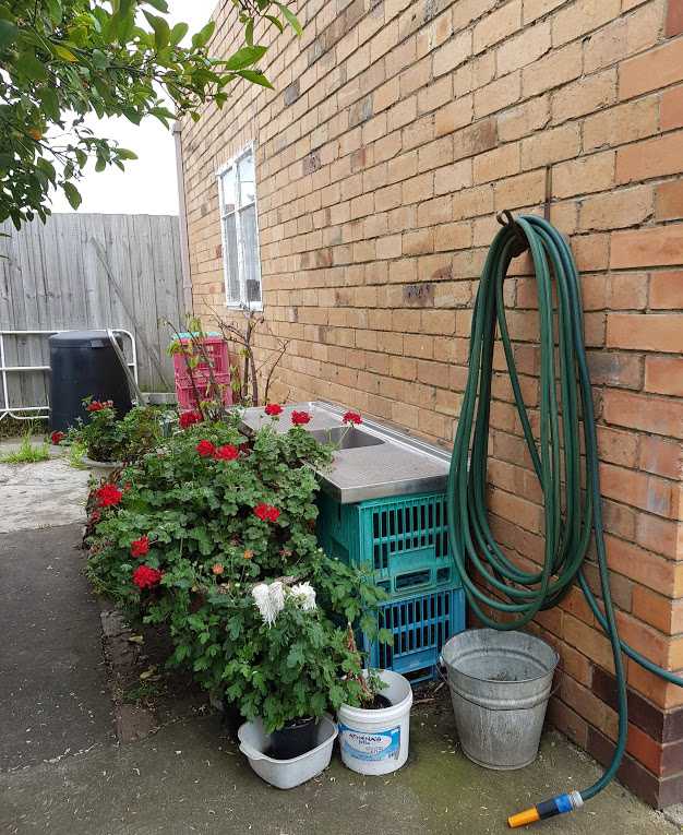 Backyard outdoor sink plants